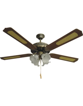 Ανεμιστήρας οροφής Human US52-4C-4L Brown