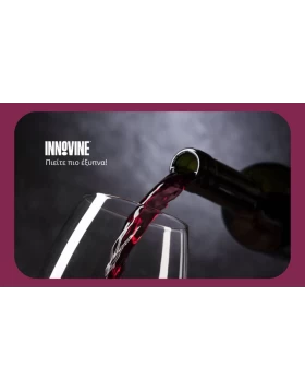 Innovine: Αξεσουάρ Κρασιού & Cocktail που απογειώνουν την απόλαυση 