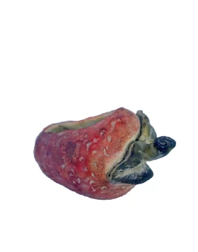 ΚΑΣΠΩ ΦΡΑΟΥΛΑ ΚΕΡΑΜ. 20ΕΚ Espiel JOE210