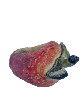 ΚΑΣΠΩ ΦΡΑΟΥΛΑ ΚΕΡΑΜ. 24ΕΚ Espiel JOE209