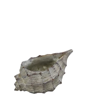 ΚΑΣΠΩ ΤΣΙΜΕΝΤ. ΚΟΧΥΛΙ ΜΠΕΖ 23,5Χ16Χ13,5ΕΚ Espiel JOE313