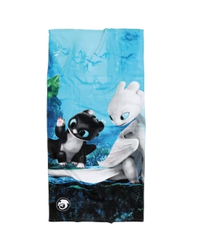 ΠΕΤΣΕΤΑ ΘΑΛΑΣΣΗΣ HOW TO TRAIN YOUR YOUR DRAGON 70Χ140 5865 ΜΑΥΡΟ, ΜΠΛΕ