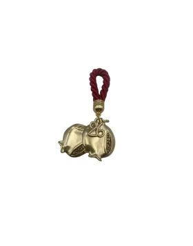 Γούρι διπλό ρόδι 26 - Φυσαλίς 323-2