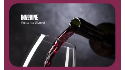 Innovine: Αξεσουάρ Κρασιού & Cocktail που απογειώνουν την απόλαυση 
