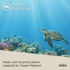 Umbra Casa από ανακυκλωμένο ocean plastic – Ocean Materials eco friendly