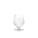Πολυχρηστικό κρυστάλλινο ποτήρι RCR Timeless Stemless Glass T45 450ml με κοντή βάση σε λευκό φόντο.