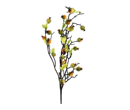 Kladi-rodia-2-xromata-Idea-Home-43150