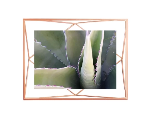 Korniza-13X18-Prisma-Xalkos-Umbra-313015-880