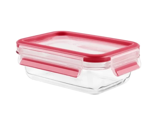 Gyalino-fagitodoxeio-450-ml-Tefal-MasterSeal-N10405