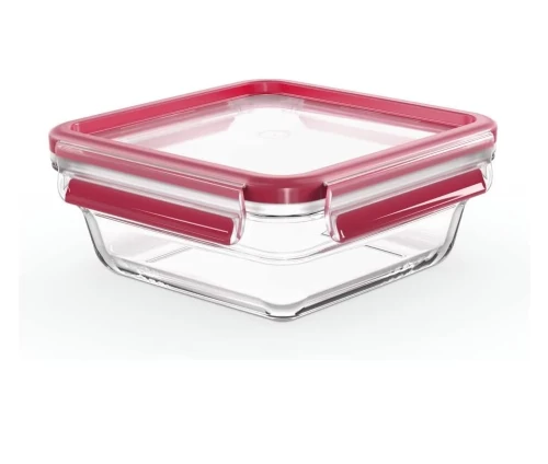 Gyalino-fagitodoxeio-800-ml-Tefal-MasterSeal-N10414