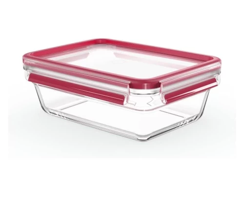 Gyalino-fagitodoxeio-1300-ml-Tefal-MasterSeal-N10410