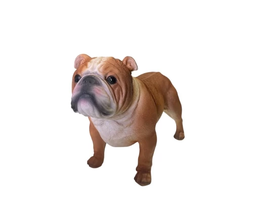 FIGOYRA-SKYLOS-KAFE-BULLDOG-POLYREZ.-22X9X16EK-51153