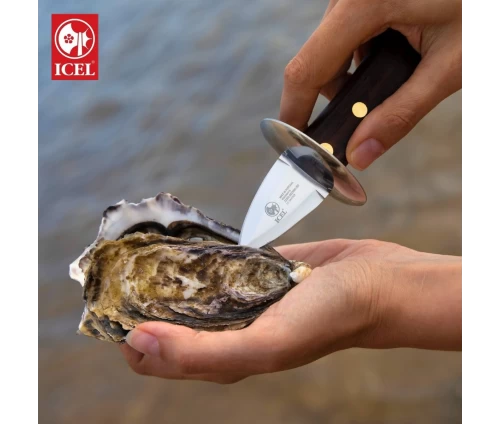 Μαχαίρι για όστρακα ICEL 271.9933.05 με ανοξείδωτη λεπίδα, σε χρήση ενώ ανοίγει όστρακο.