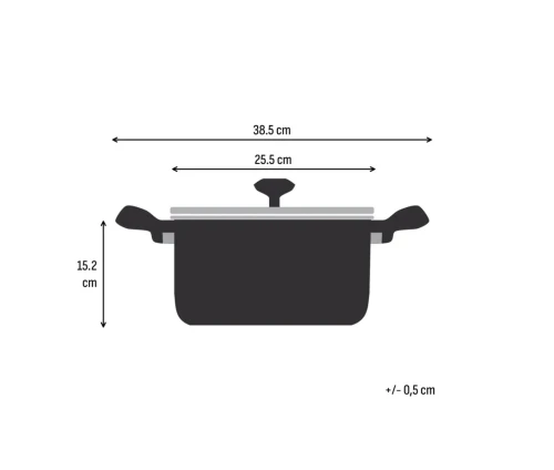 Διαστάσεις ανοξείδωτης χύτρας Tefal Emotion 24cm